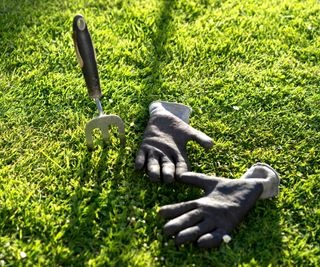 Garden fork and gloves on a lawn