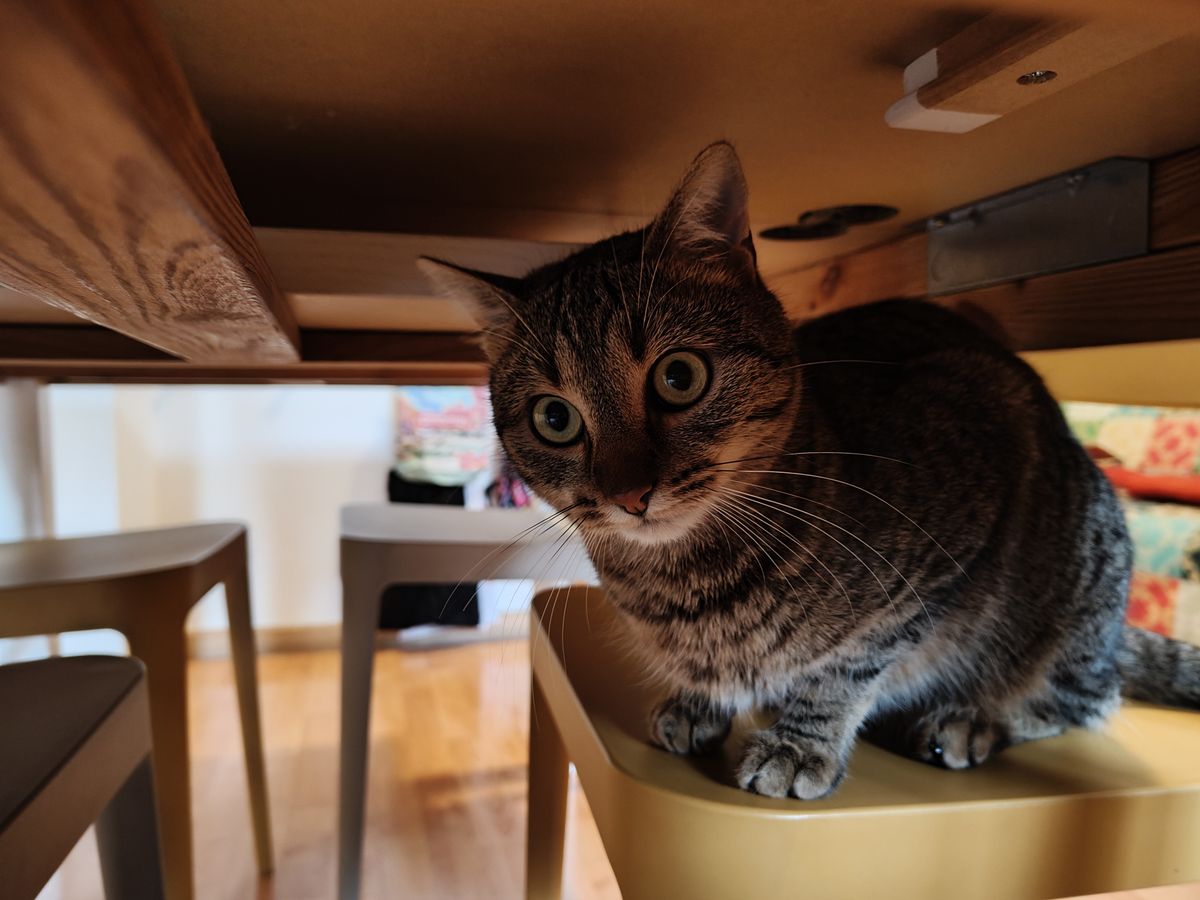 realme 14 Pro+