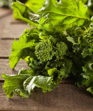 Broccoli rabe on a wooden table