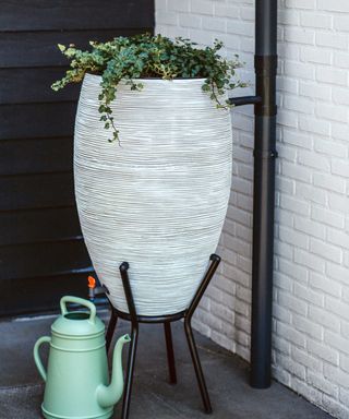 sleek ivory rain water barrel and watering can