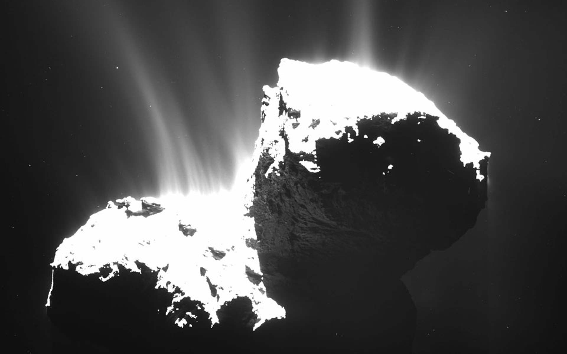 Comet Tails, Comas and Nuclei, Oh My