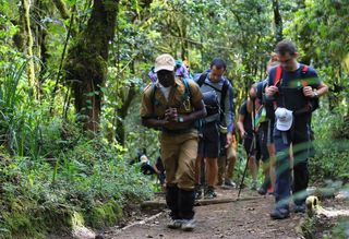 Focussing on the task at hand