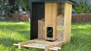 Netvue Birdfy Bamboo bird feeder camera outside on the grass