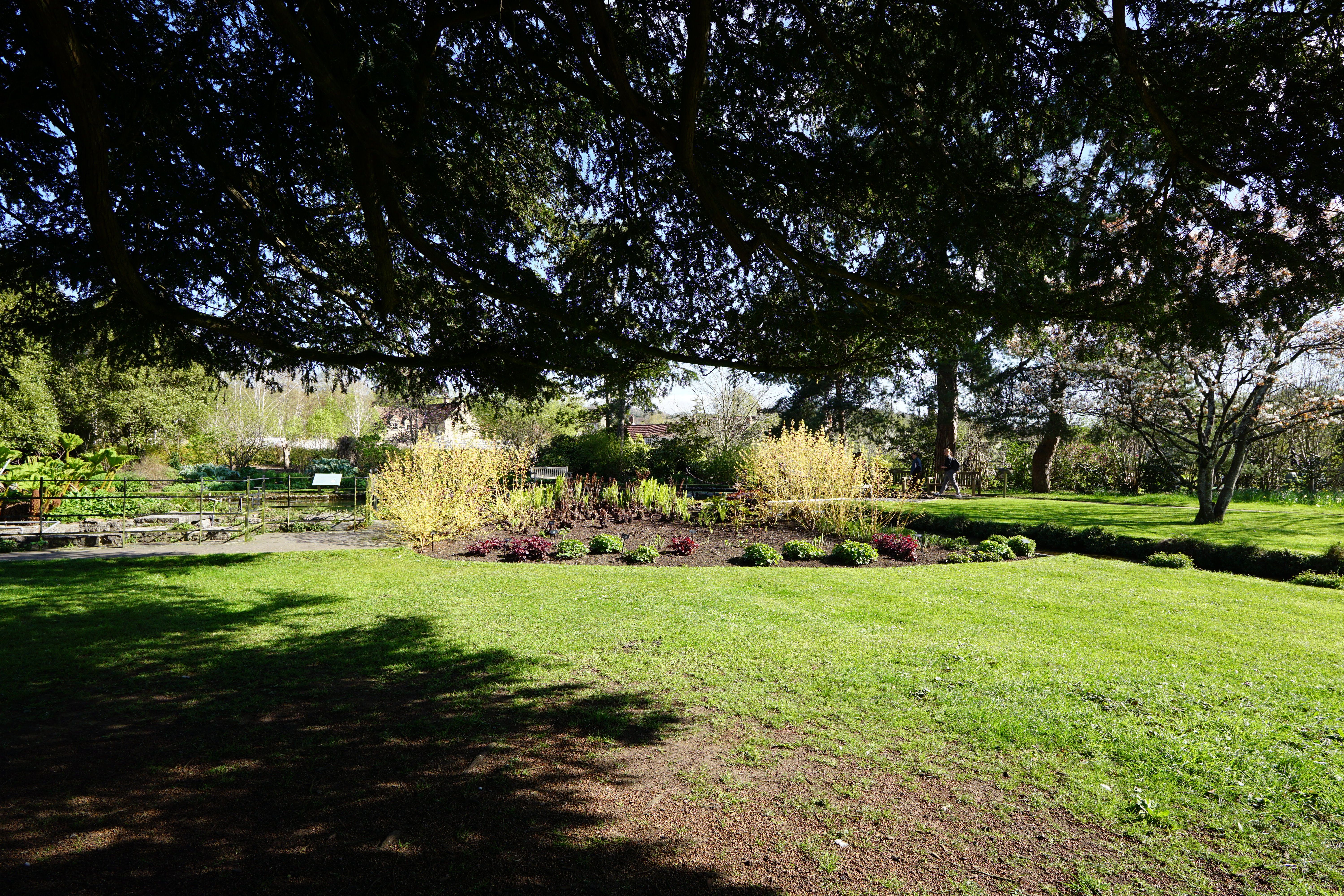 Sigma 12mm f/1.4 DC | C example shot