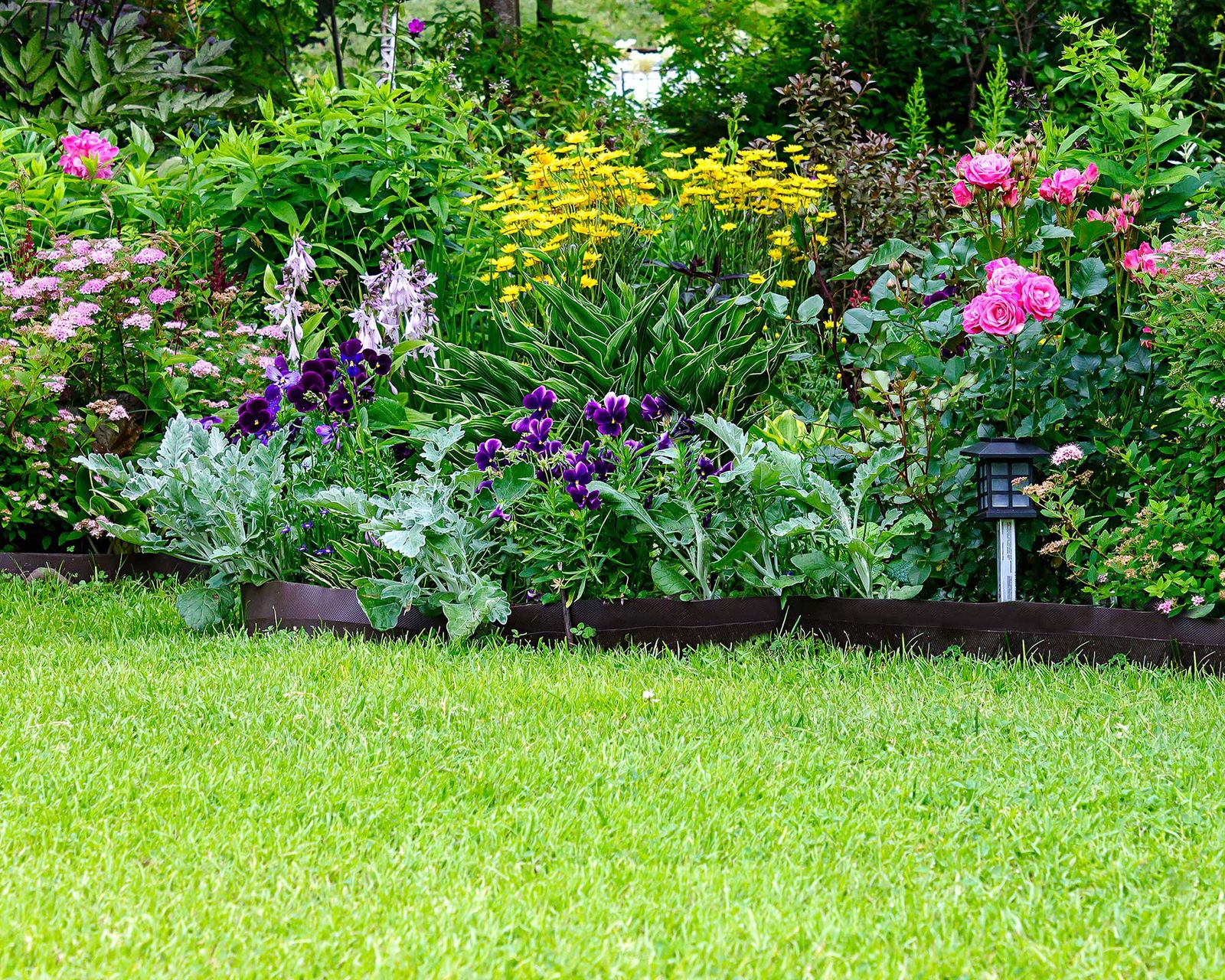 When is the best time to apply lime to a lawn? Gardeningetc