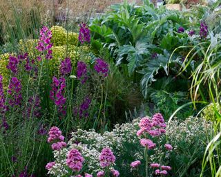 Color planting combinations