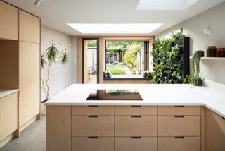 A kitchen extension with bespoke plywood fittings, a green living wall and views of a garden