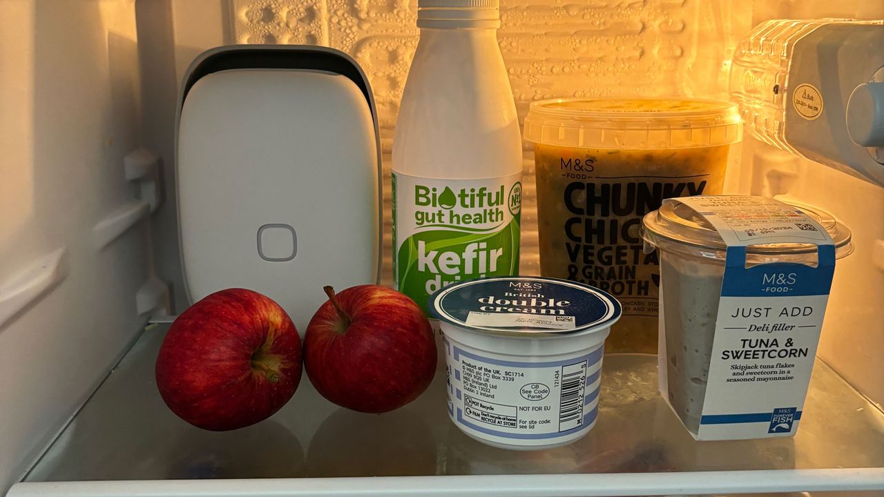 Shelfy in a fridge with apples