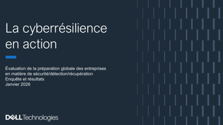 Perspectives sur la cyber-résilience - Mondial