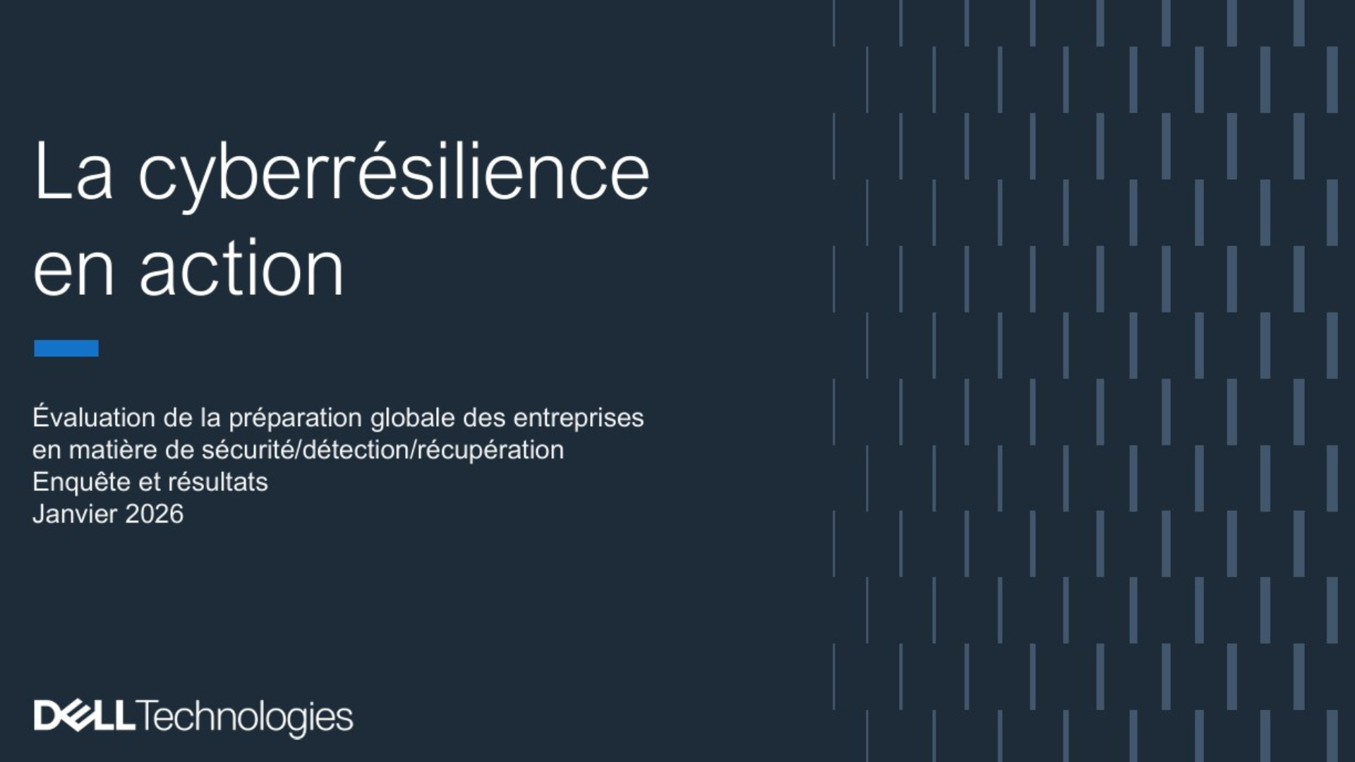 Perspectives sur la cyber-résilience - Mondial
