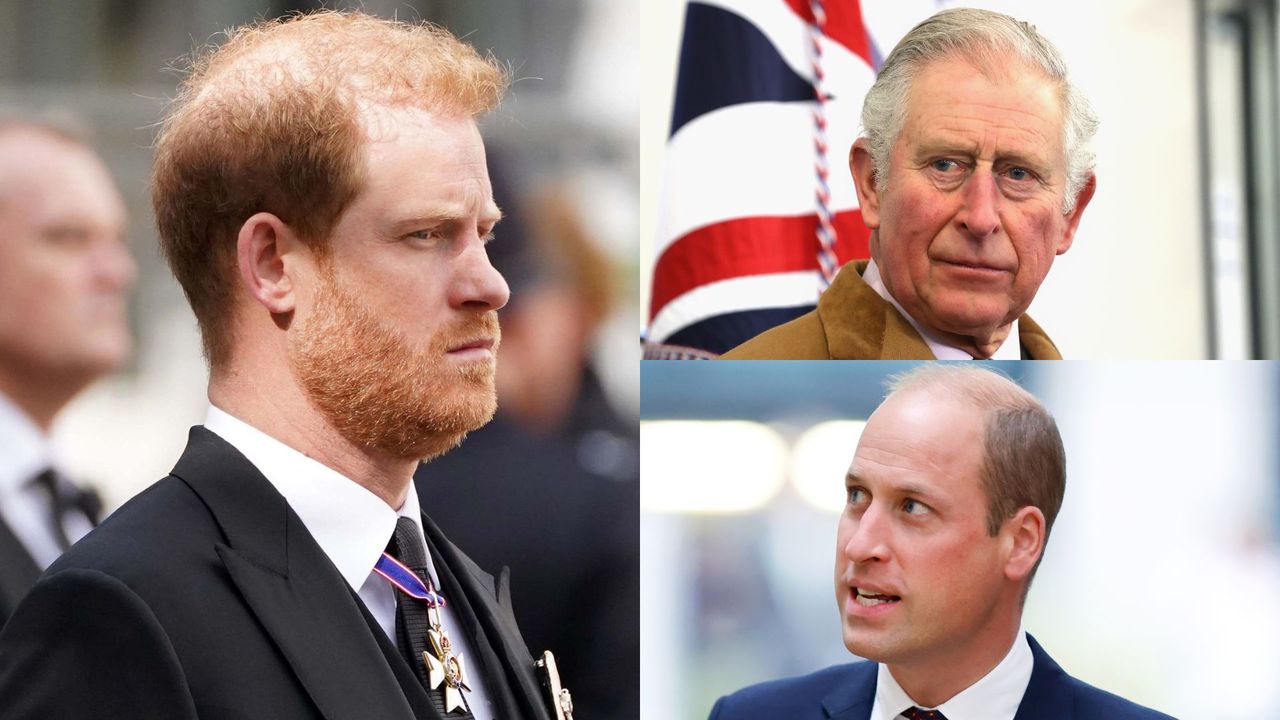 How to watch Harry: The Interview; seen here are Prince Harry, King Charles and Prince William