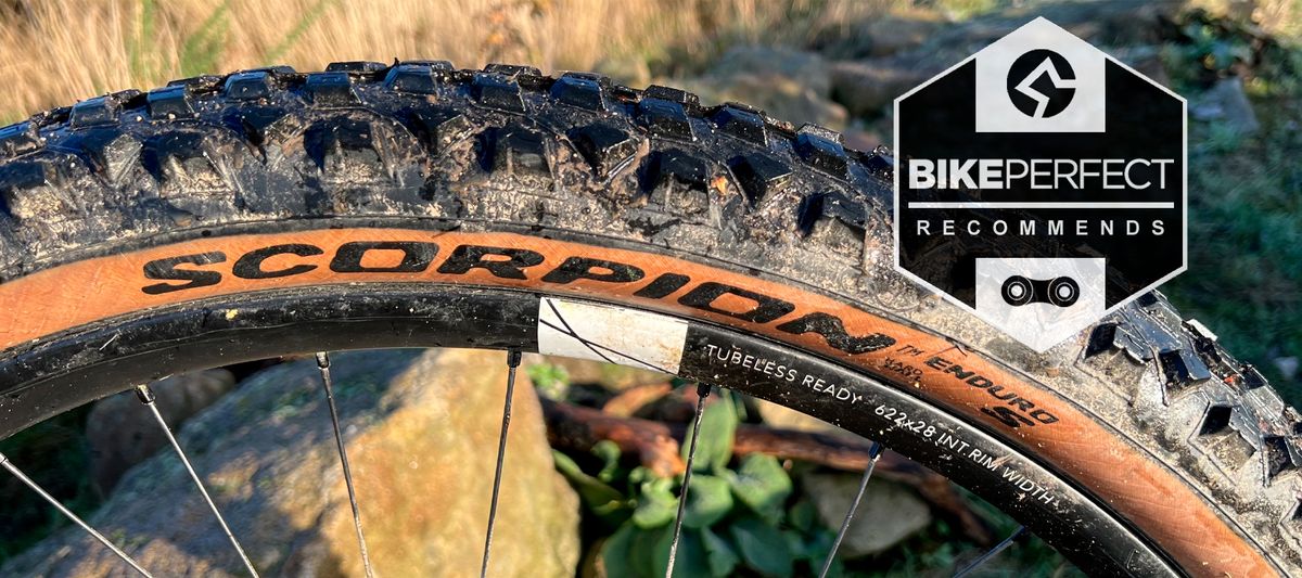 Pirelli Scorpion Enduro S &amp; M 2022 MTB tires 