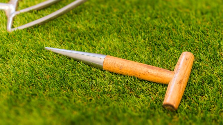 A Dibble Is The Forgotten Garden Tool You Need For Easy Planting ...