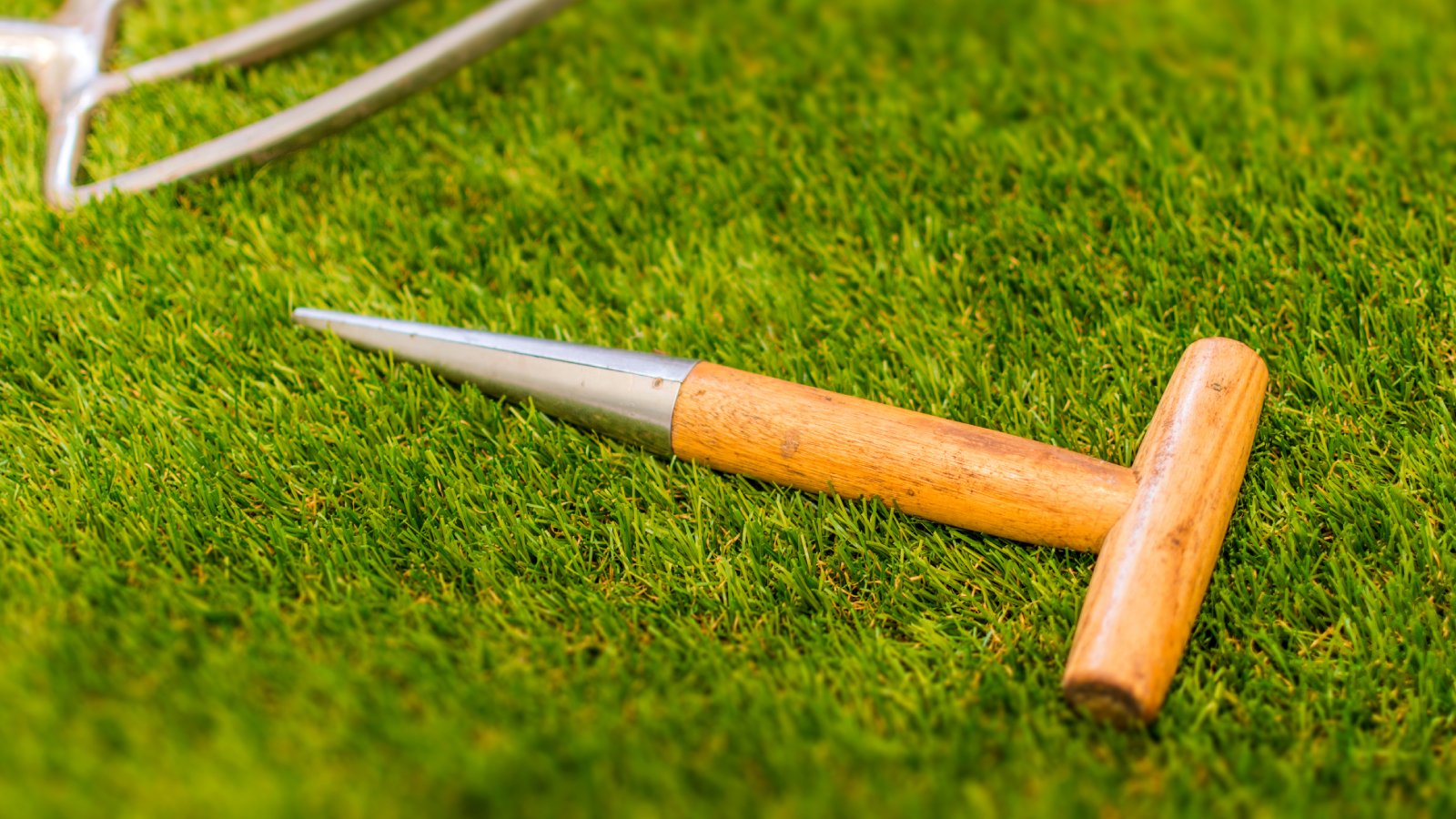 Dibble lying on grass with tools