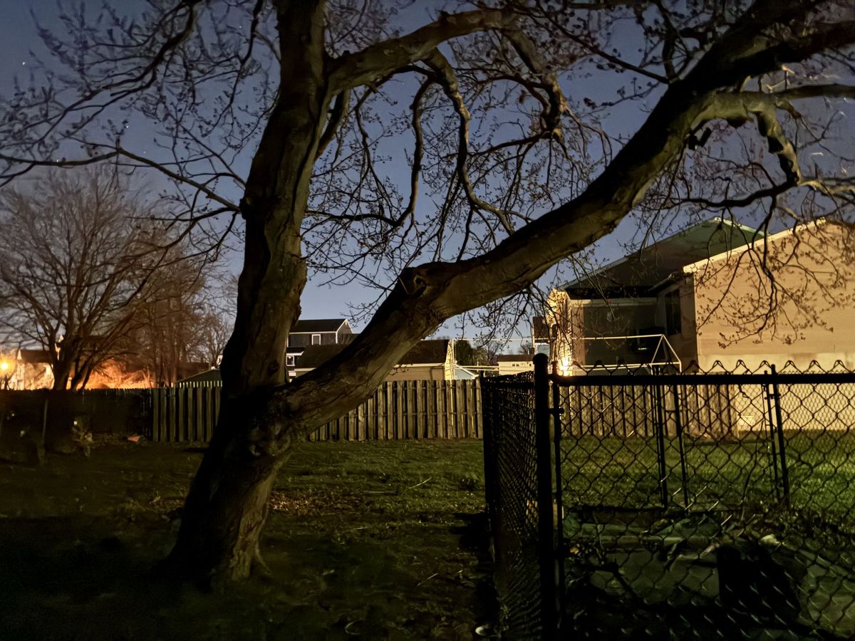 Apple iPhone 16e low light sample.