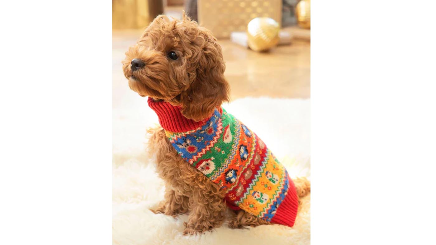 JoJo Maman Be&amp;#769;be&amp;#769; Multi Christmas Fair Isle dog jumper