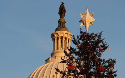The so-called People’s Tree is an annual gift from the people’s public lands to the US Capitol Building in Washington D.C.