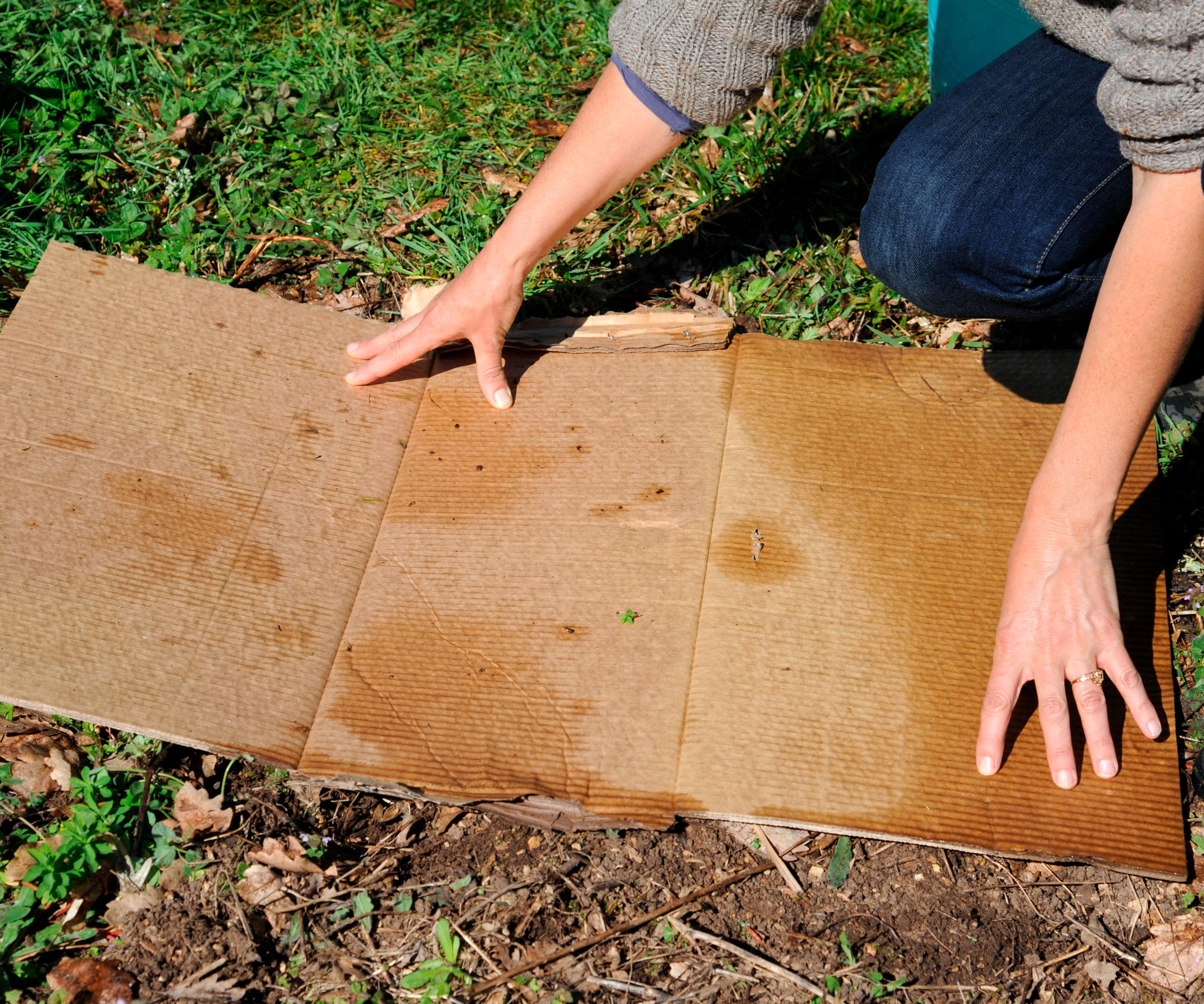 winter mulching with cardboard on garden