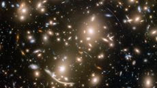 A Hubble Space telescope image of the Coma cluster.