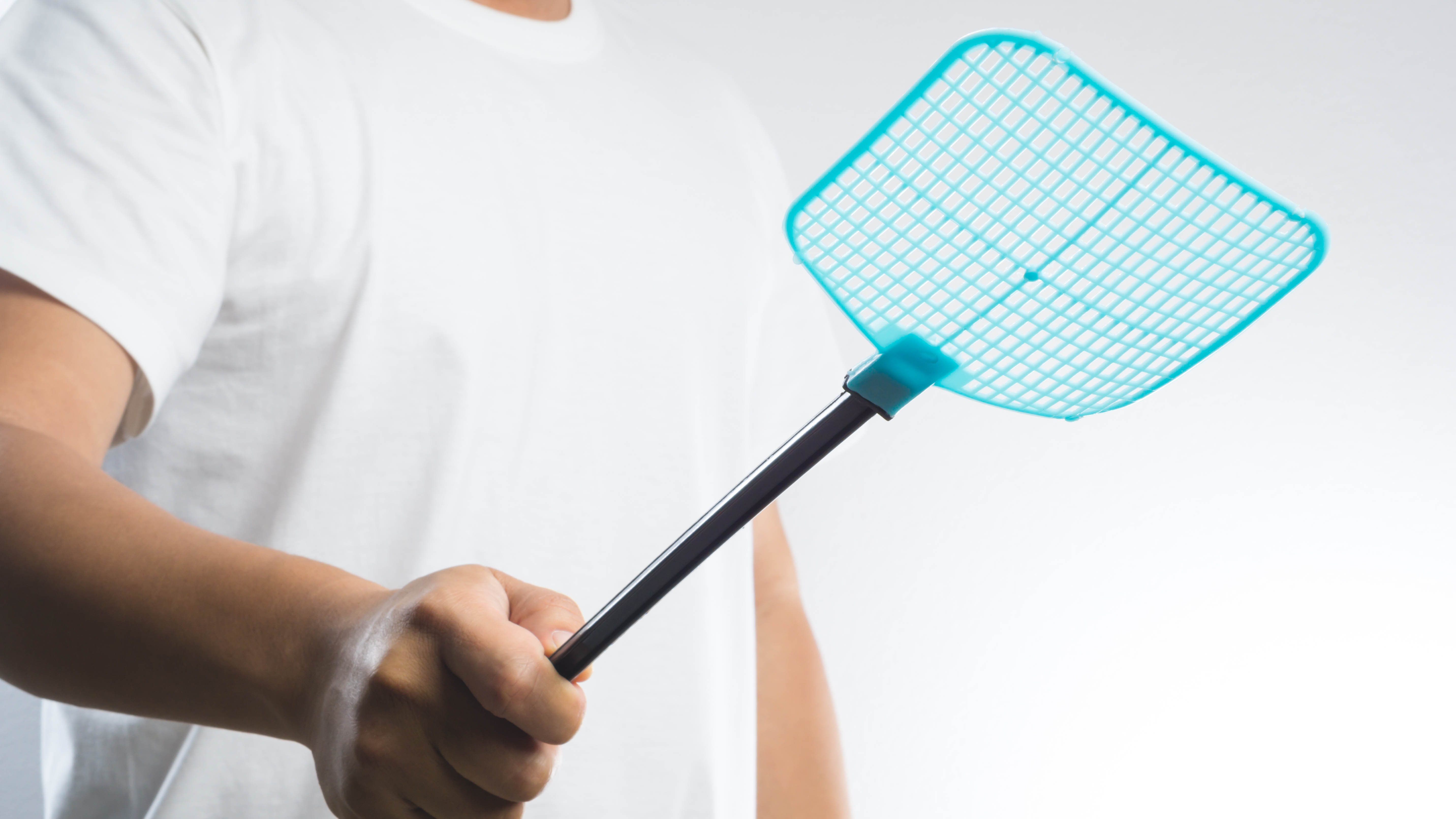 A fly swatter being held in a hand
