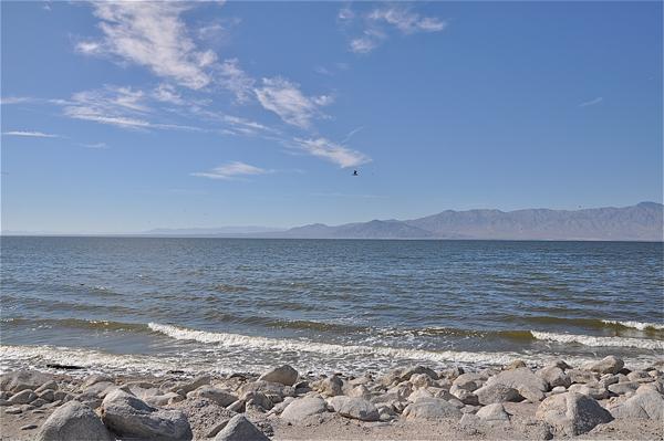 The Serene Splendor of the Salty Salton Sea | Live Science