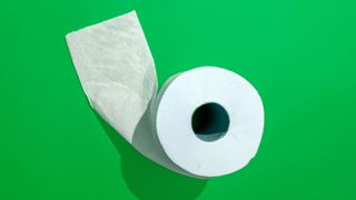 Roll of toilet paper