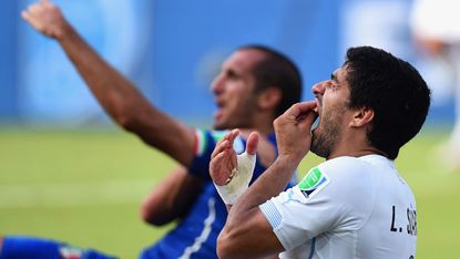Luis Suarez and Giorgio Chiellini react after their clash at the World Cup