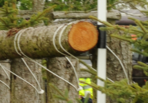 Frangible pin on rail at Badminton 2008