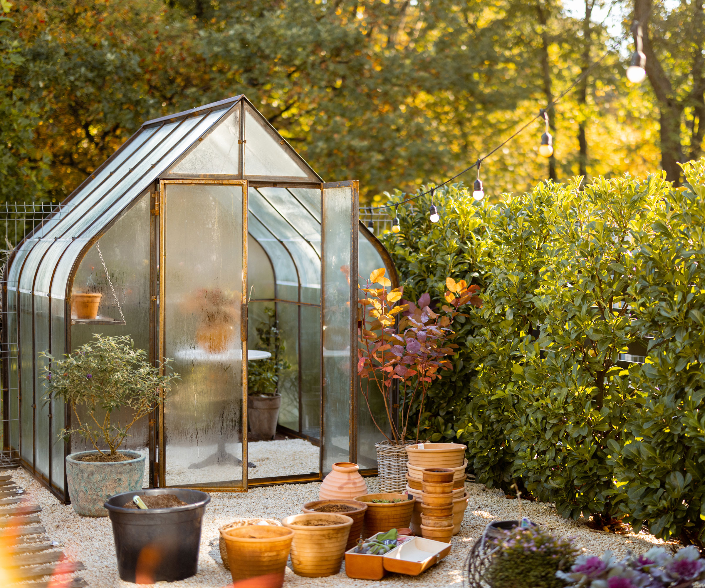 example of gothic style greenhouse in backyard with pots and plants