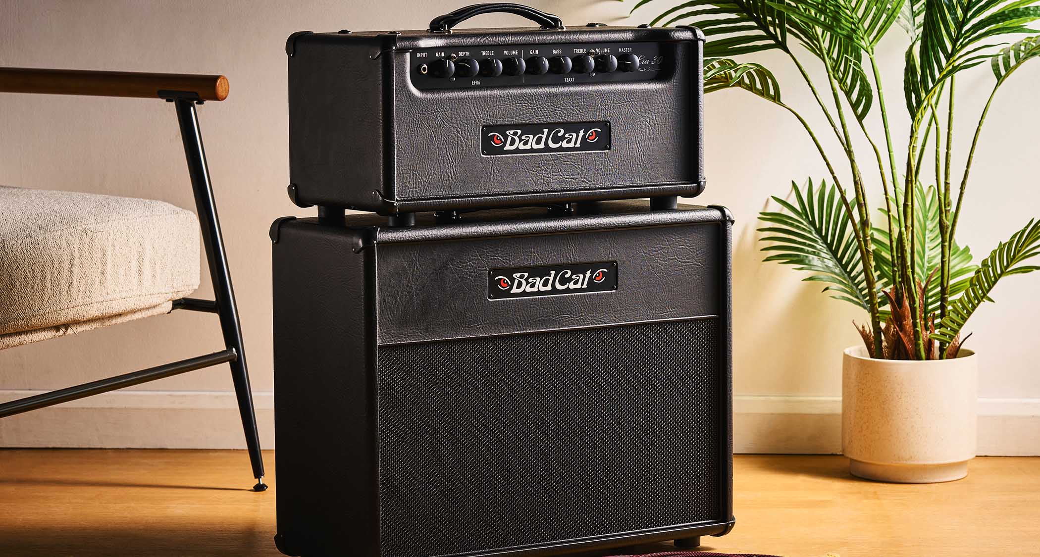 Bad Cat Era 30