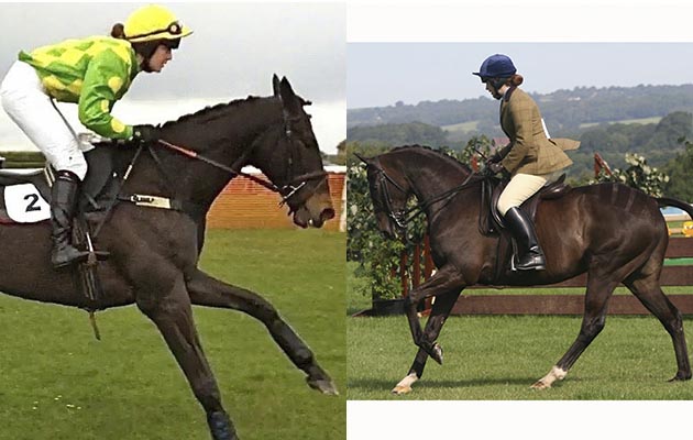 “This is my exracehorse Celtic Boy. He was originally bought as my point-to-point schoolmaster and gave me my first win, a day I will never forget. After two fun seasons he retired at the grand age of 14. Since then we have had so much fun together and he has particularly excelled in the show ring. He is still as bright and athletic as ever at 19 and looking forward to the season ahead, particularly the RoR National Show at Aintree where he has qualified for a number of classes” — Laura Grey