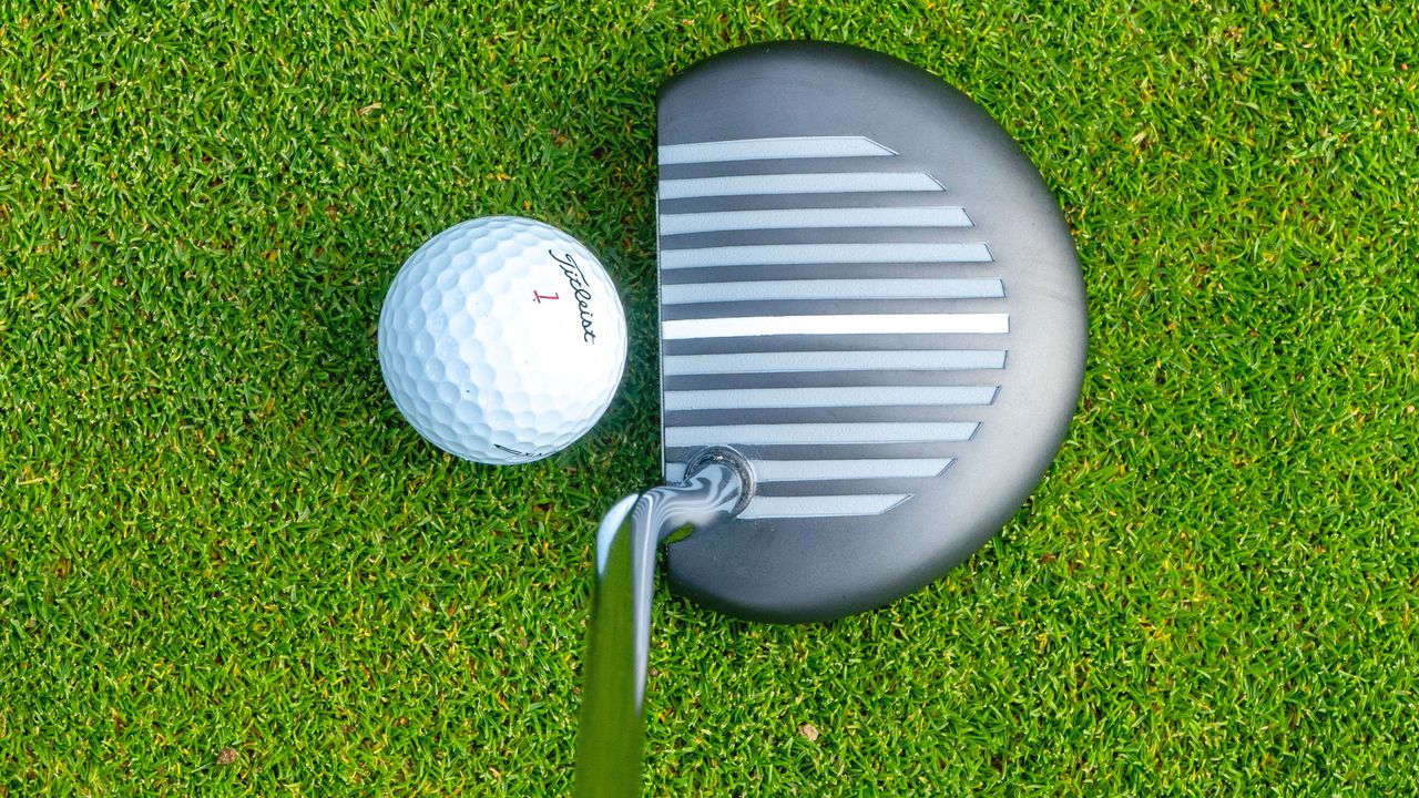 Photo of a ram zebra putter