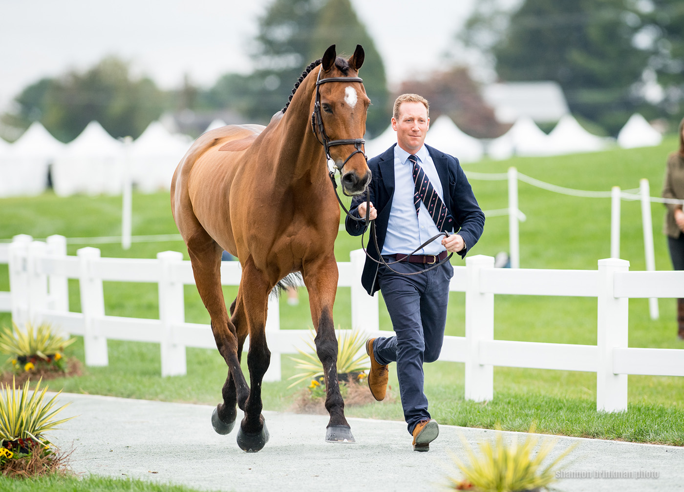 Maryland 5 Star final trot-up: Oliver Townend and Cooley Master Class