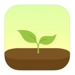 The Forest app logo from the Apple App Store.