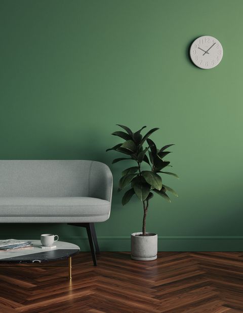 Best Green Paint For Interior Walls An Expert Guide To Making The Right Color Choice Livingetc - Green Wall Paint Ideas