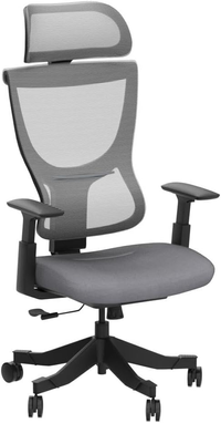 FlexiSpot BS8 ergonomic office chair