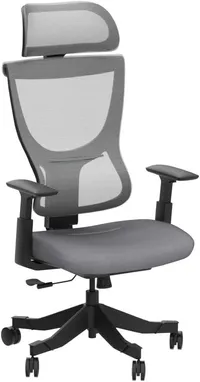 FlexiSpot BS8 ergonomic office chair