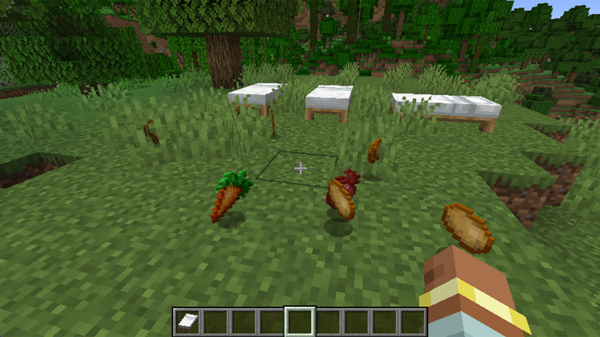 Lots of food scattered around in Minecraft