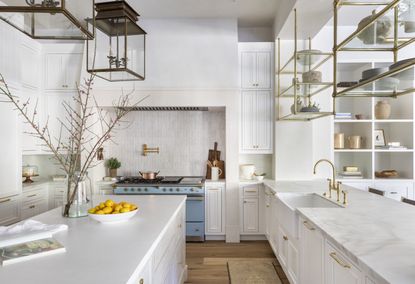 Modern white kitchen with kitchen island decorated with twigs in a vase
