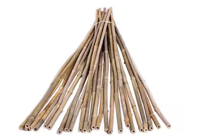 Bamboo Stakes from The Home Depot