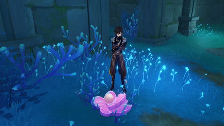 Genshin Impact sango pearls