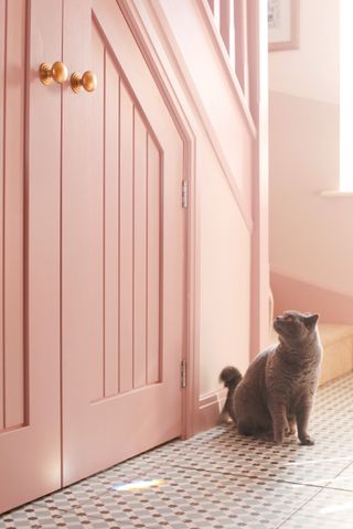 pink hallway/entryway showing under stair storage