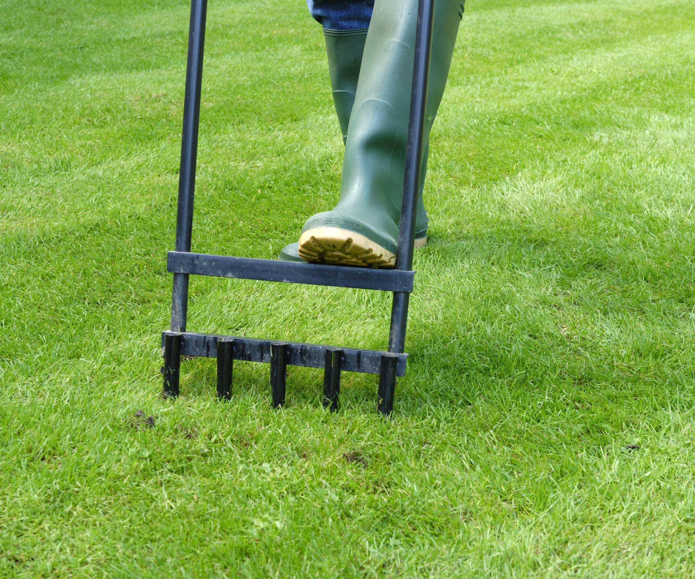 A foot in a rubber boot stepping down on a lawn aerator