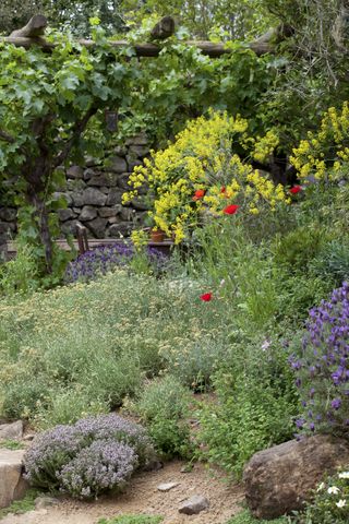 Gravel and flowers in a mediterranean garden style