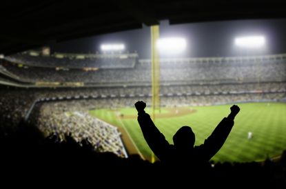 Fan cheering at a baseball game