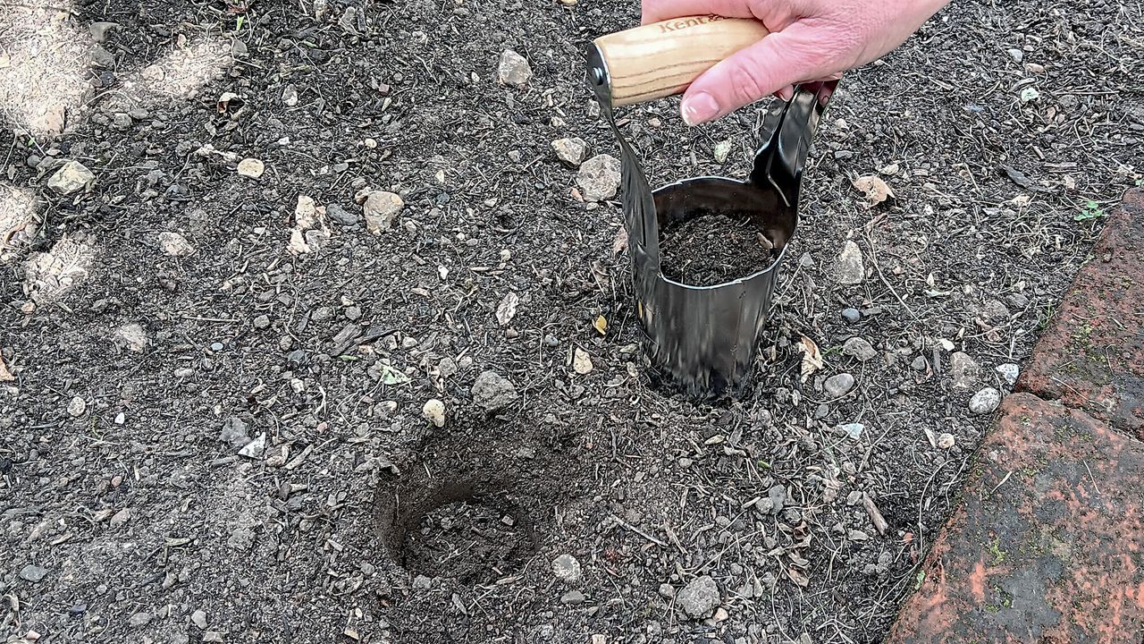 Kent &amp; Stowe Hand Bulb Planter