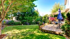 Sunny backyard with healthy grass to answer how often should you aerate your lawn for healthy grass with experts advising how how often to aerate a lawn