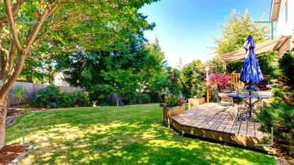 Sunny backyard with healthy grass to answer how often should you aerate your lawn for healthy grass with experts advising how how often to aerate a lawn