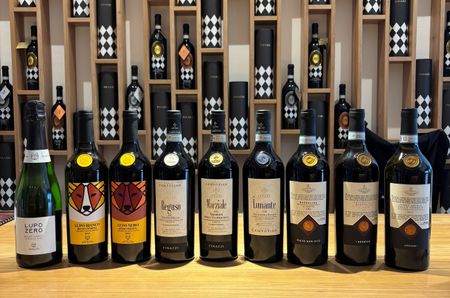 A row of nine bottles of Tinazzi wine, a sparkling, one white and seven red