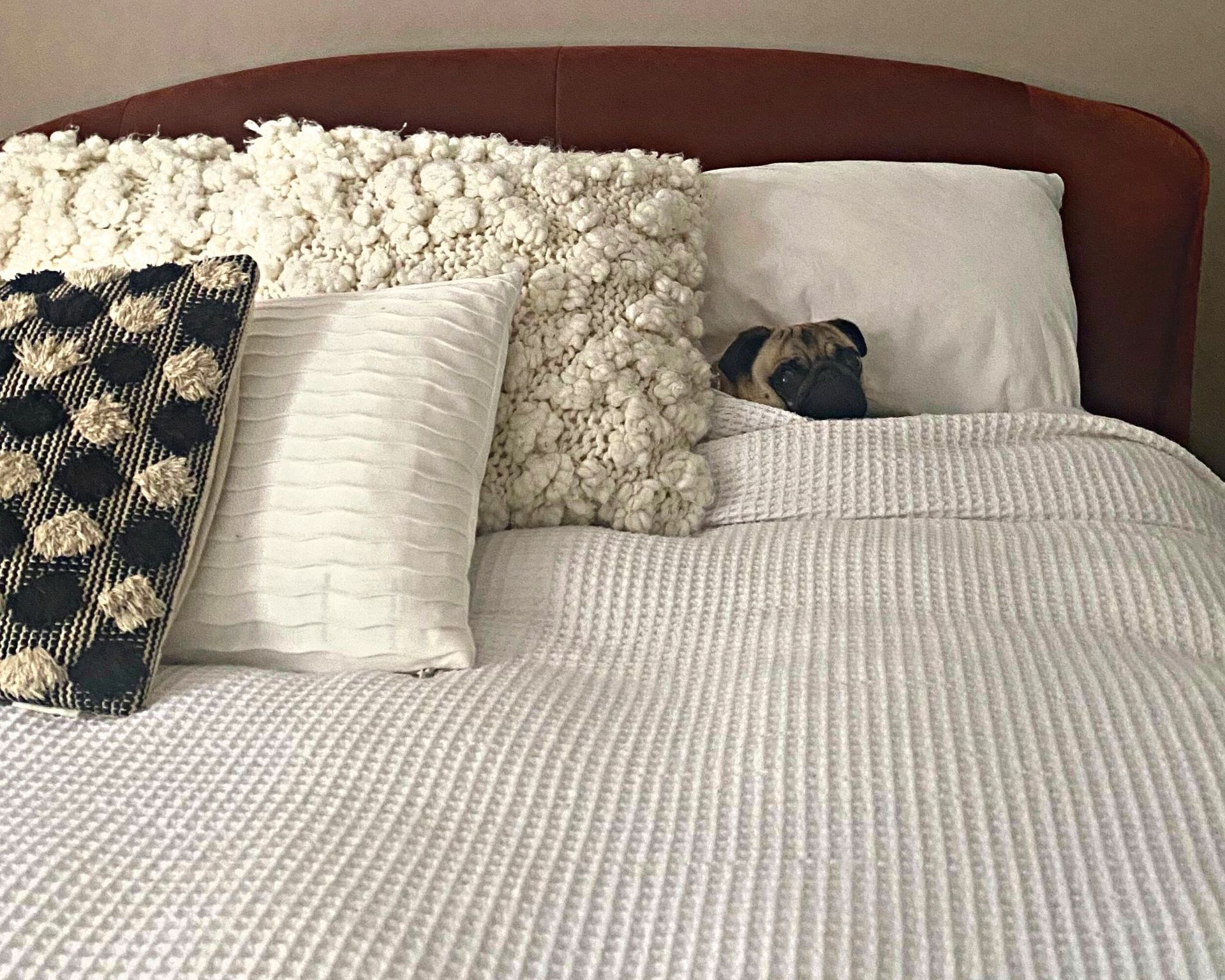 Tempat tidur terbaik dari editor kami di tempat tidur